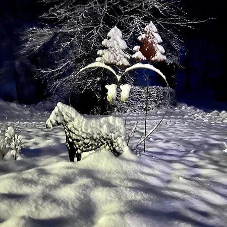 Landferienwohnug Simon