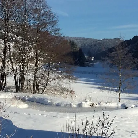 Landferienwohnug Simon *