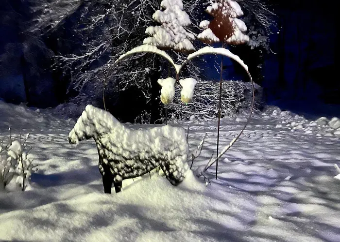 Landferienwohnung Simon