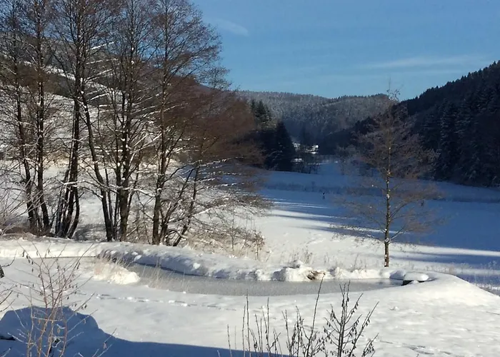 Landferienwohnung Simon *